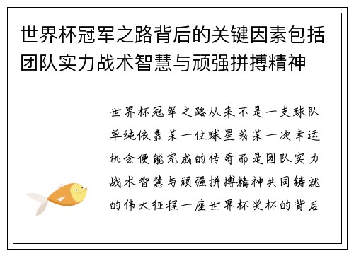 世界杯冠军之路背后的关键因素包括团队实力战术智慧与顽强拼搏精神